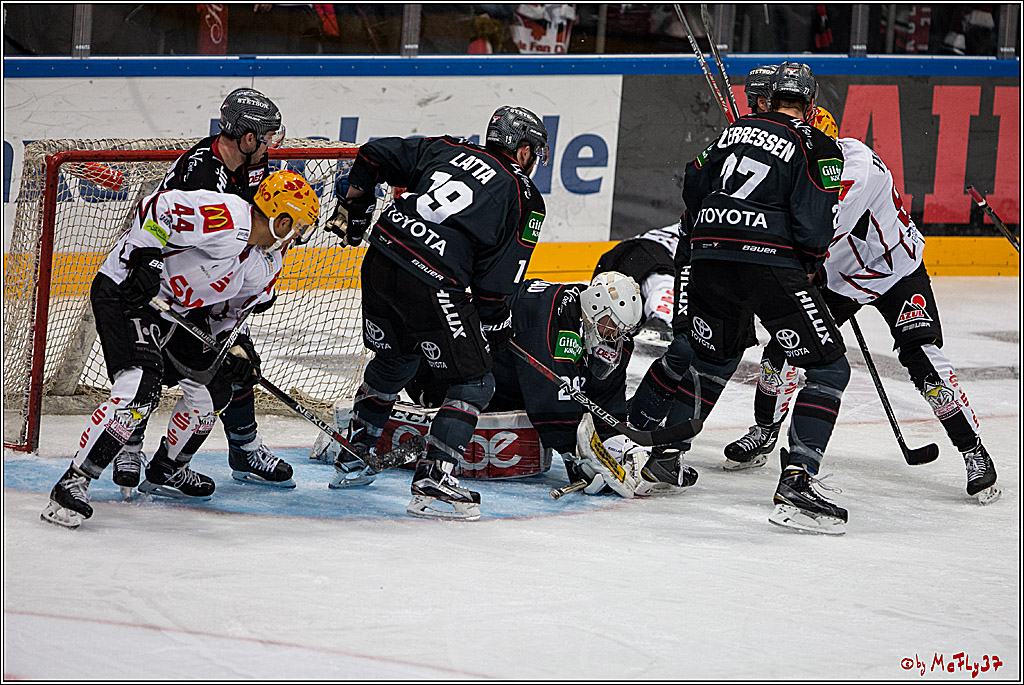 DEL, Koelner Haie - Fishtown Pinguins Bremerhaven, 29.01.2017